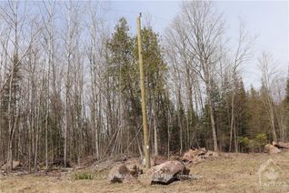 Land for Sale, 462 WILSON FARM Rd, Greater Madawaska, ON