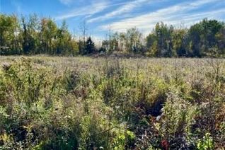 Vacant Residential Land for Sale, 25 HONEY BEE Grve, Stittsville - Munster - Richmond, ON