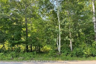 Vacant Residential Land for Sale, Lot B CHIPPAWA Rd, Madawaska Valley, ON