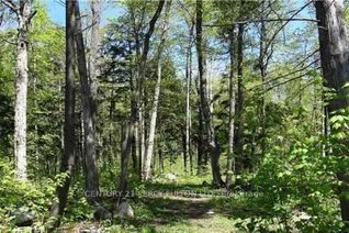 Land for Sale, Lot E21 Nippissing Ridge Rd, Tiny, ON