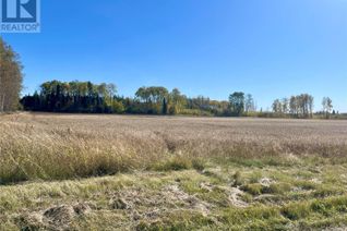 Commercial Land for Sale, Morton 38.97 Acres, Hudson Bay Rm No. 394, SK