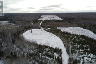 Land for Sale, 183.6 (+/-) Acres Route 160, Saint-Sauveur, NB