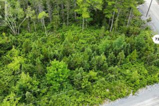 Commercial Land for Sale, 71 Meek Arm Trail, East Uniacke, NS