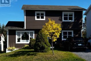 Detached House for Sale, 53 Carter Avenue, CORNER BROOK, NL