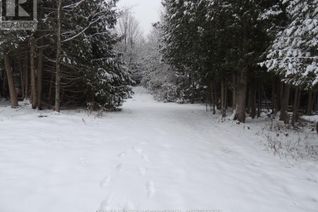 Commercial Land for Sale, 00000 Penny Lane, Grey Highlands, ON