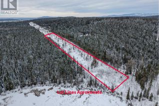 Commercial Land for Sale, 2929a Drewry Lake Road #DL, 100 Mile House, BC