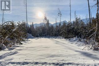 Commercial Land for Sale, Lot 4 Golden Donald Upper Road, Golden, BC