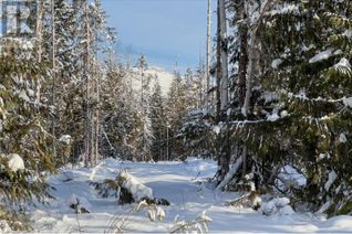 Land for Sale, Lot 2 Golden Donald Upper Road, Golden, BC