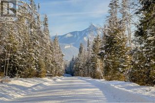 Land for Sale, Lot 1 Golden Donald Upper Road, Golden, BC