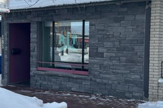 Commercial/Retail Property for Sale, 181 Mississaga Street E, Orillia, ON