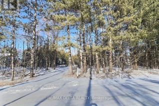 Land for Sale, 1405 St-Felix Road, Clarence-Rockland, ON