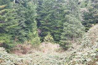 Vacant Residential Land for Sale, Lot 17 Haggard Cove, Port Alberni, BC