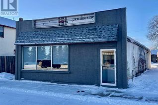 Non-Franchise Business for Sale, 5008 50 Street, Mannville, AB