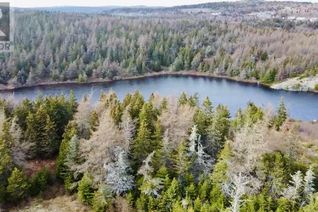 Land for Sale, Lot 3 Lilly Pond Road, Carbonear, NL