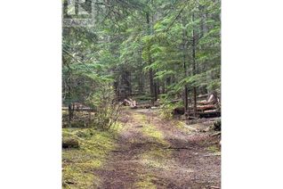 Land for Sale, 4772 Skeena River #DL, Terrace, BC