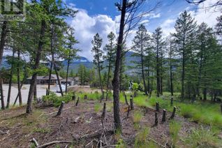 Land for Sale, Lot 76 Copper Point Way, Windermere, BC