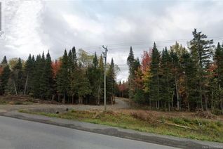 Property for Sale, 321 Riviere-Quisibis, Rivière-Verte, NB