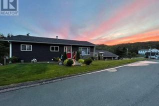 Backsplit for Sale, 7 Smith's Lane, Red Harbour, NL