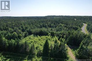 Commercial Land for Sale, Dark Harbour Road, Grand Manan, NB