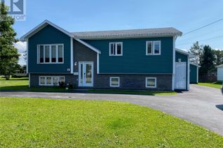 Detached House for Sale, 30 Lakeview Drive, Kippens, NL