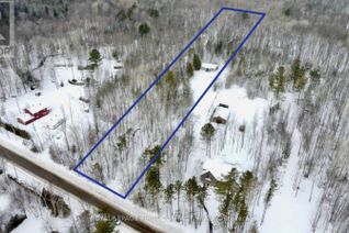 Commercial Land for Sale, 250 Peek-A-Boo Trail, Tiny, ON