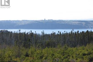 Land for Sale, 668 Old Broad Cove Road, Portugal Cove - St. Philips, NL