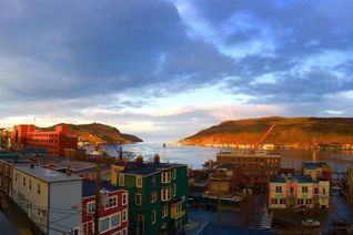 Land for Sale, 21 Holloway Street, St. John's, NL