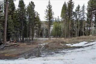 Commercial Land for Sale, 4969 Scott Road, 108 Mile Ranch, BC