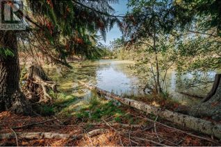 Property for Sale, Dl812 4th Street, Lister, BC