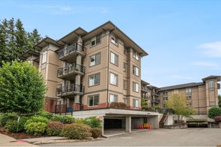 Condo Apartment for Sale, 33898 Pine Street #108, Abbotsford, BC