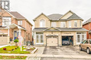 Property for Rent, 42 Pennyroyal Crescent #Bsmt, Brampton (Bramalea North Industrial), ON