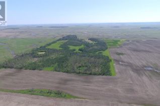 Commercial Farm for Sale, 81068 Range Road 225, Rural Northern Sunrise County, AB