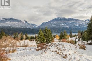 Property for Sale, Lot 2 Tangye Road, Kaslo, BC