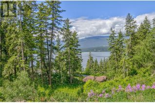 Commercial Land for Sale, 3541 20 Street Ne, Salmon Arm, BC