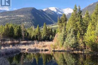 Land for Sale, 882 5 Highway #DL, Valemount, BC