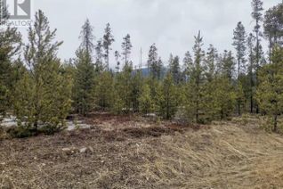 Land for Sale, 995 S Cranberry Lake Road, Valemount, BC