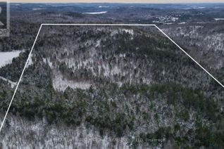 Land for Sale, 00 Martin Recoskie Road, Madawaska Valley, ON