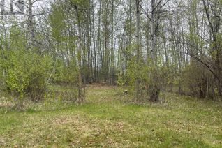 Property for Sale, Lot 9 Block 3 Summerhaven, Rural Wetaskiwin No. 10, County of, AB