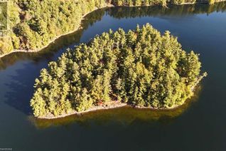 Commercial Land for Sale, 100 Kilgore Island, Cloyne, ON