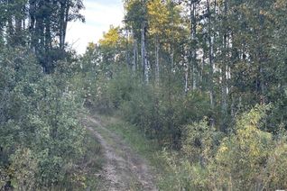 Land for Sale, 62331 Range Rd 411a, Rural Bonnyville M.D., AB