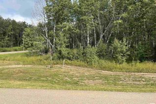 Land for Sale, 62331 Rge Rd 411a, Rural Bonnyville M.D., AB