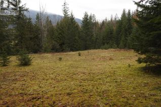 Commercial Farm for Sale, 200 Hidden Lake Road, Enderby, BC