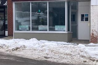 Commercial/Retail Property for Sale, 33 Mississaga Street W, Orillia, ON