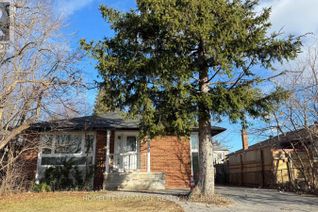 House for Rent, 95 Sussex Avenue #(Main), Richmond Hill (Crosby), ON