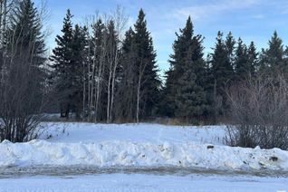 Land for Sale, 54104 Rr35, Rural Lac Ste. Anne County, AB