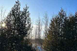 Commercial Land for Sale, Lot Lakeside Drive, South Glengarry, ON