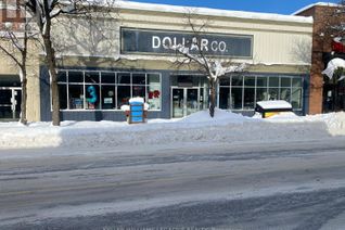 Non-Franchise Business for Sale, 38 Mississaga Street E, Orillia, ON