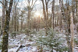 Land for Sale, Lot 9 Nathan Croft Road, Camperdown, NS