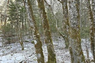 Land for Sale, Lot 4 Nathan Croft Road, Camperdown, NS