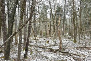 Land for Sale, Lot 2 Nathan Croft Road, Camperdown, NS